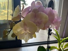 -南宁时代电影大世界(CGS激光中国巨幕)