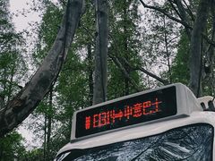 -也枫·小黄楼(南山路旗舰店)