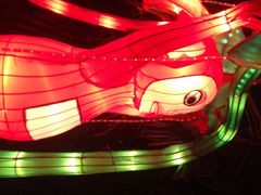 iphone_upload_pic-惠州西湖