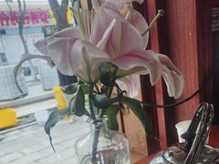 -大理.老字号渝记酸萝卜乌鱼(古城总店)