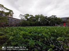 -四川大学(望江校区)