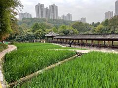 -龙头寺公园