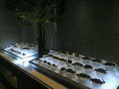 自助取餐区-雍和会海鲜姿造自助(湖东路店)