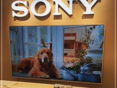 -星光摄影器材城