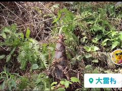 -宁波浙东大竹海景区