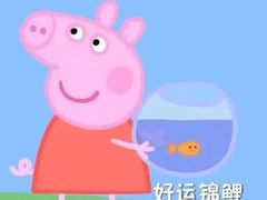 -环球雅思托福SAT留学语言培训学校(高新校区)