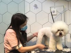 -萌兽医馆·眼科·异宠专科(三里屯店)
