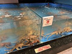 -东海怡品海鲜豆捞(星街坊店)