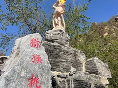-大岭沟猕猴桃谷风景区