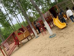 -合肥滨湖国家森林公园