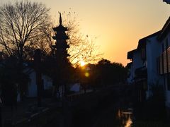 -秋霞圃