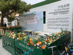 -北京市圣克弗斯幼儿园·Think first(月亮河校区)