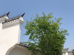 -金卉庄园
