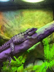 -酷嗒动物文化乐园(cutezoo西溪乐天城店)