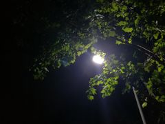 -山东大学(千佛山校区)