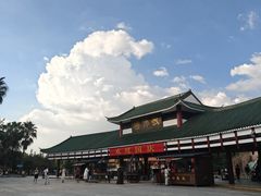 -三水森林公园