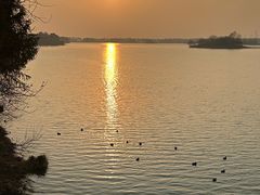 -贡湖湾湿地公园