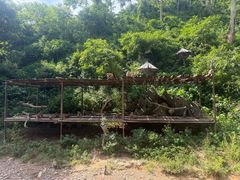 -西双版纳原始森林公园