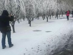 -北京亚布洛尼朝阳公园滑雪场