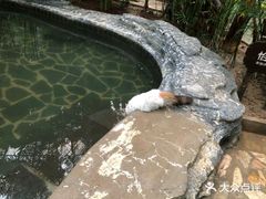 -龙达温泉生态城