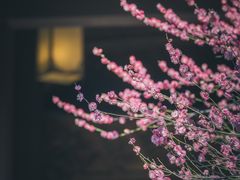 -慧因高丽寺