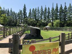 -前小桔亲子创意农场·草莓采摘·露营烧烤