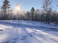 -北极村旅游风景区