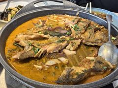 -洞庭家宴·头牌甲鱼(广渠门店)