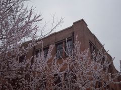 -桃花堤公园