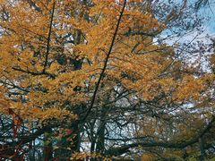 -虞山风景区