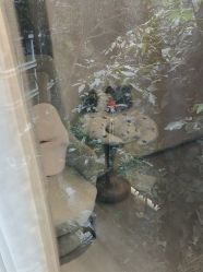 -宝生月子中心·私家园林式(龙华观澜店)