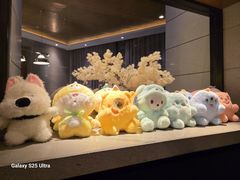-浅深Cheersum(曹杨店)