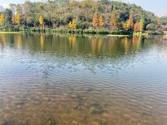 -重庆彩云湖湿地公园