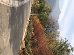 -北京鹫峰国家森林公园