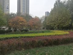 -和平区健康主题公园