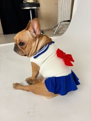 -懒猫摄影studio写真馆