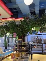 -开心哈乐儿童主题乐园(孙河易事达店)