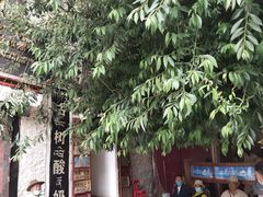-古树酸奶(八廓南街店)