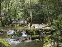-牛背梁国家森林公园