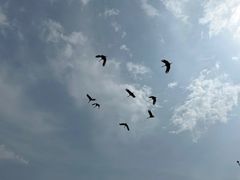 -哈尔滨北方森林动物园