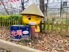 -上海都市菜园