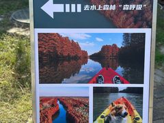 -上海海湾国家森林公园