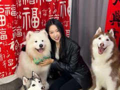 -星多哈·狗咖·拼豆·咖啡