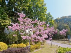-福建鲤鱼洲酒店