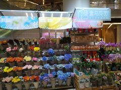 -盒马鲜生(丁香国际店)