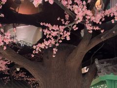 -荷塘秋月·本帮江浙菜(国权路店)