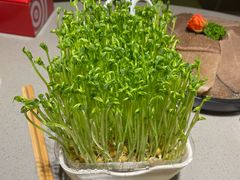 -海底捞火锅(金光华店)