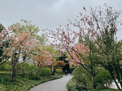 -亭林公园