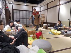 -逗柴咖啡屋·狗咖猫咖宠物桌游