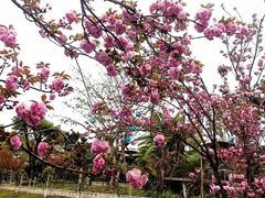 -茅草房·河畔园林火锅